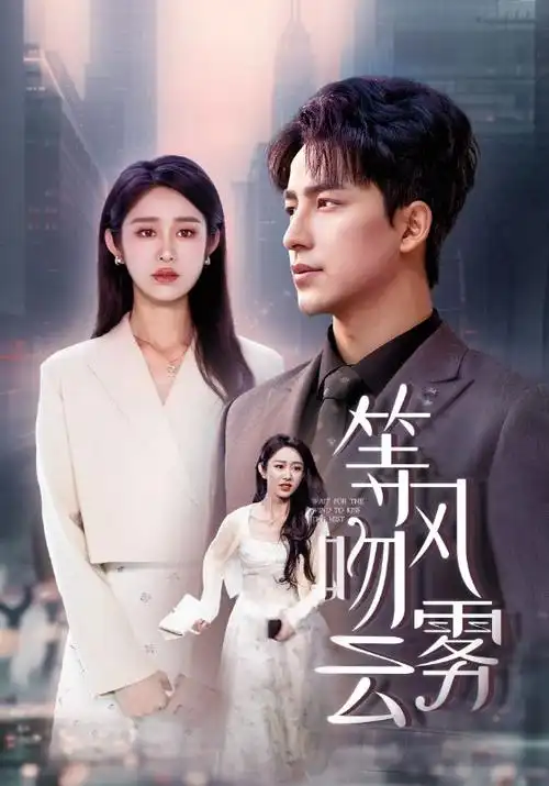 长夜检察组 热播电视剧全集手机免费在线观看